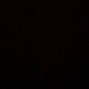 Meet your Posher, Ty